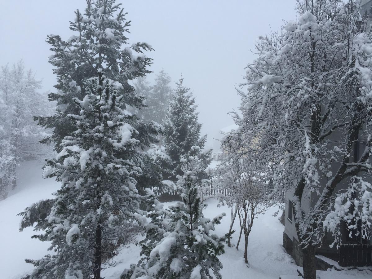 Appartamento Disentis Esterno foto
