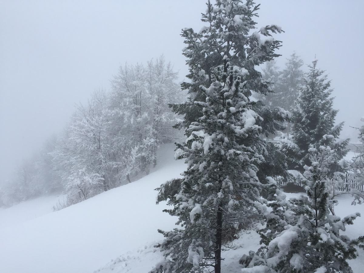 Appartamento Disentis Esterno foto
